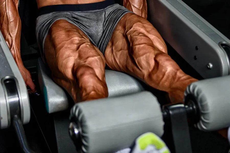 Quad Workout
