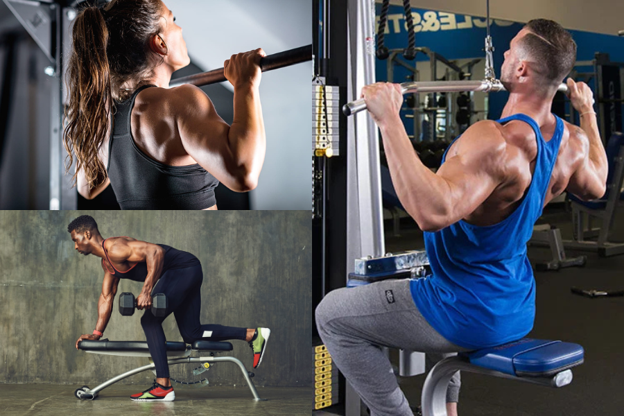 Back Workout