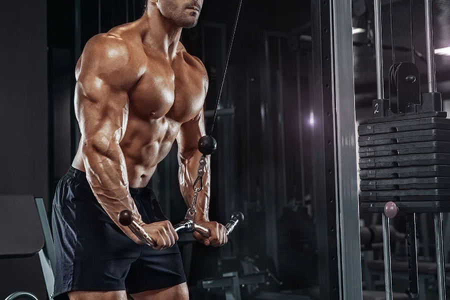 Tricep Workout