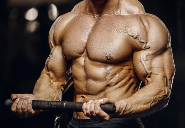 Bicep Workout