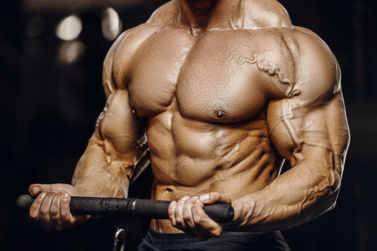 Bicep Workout